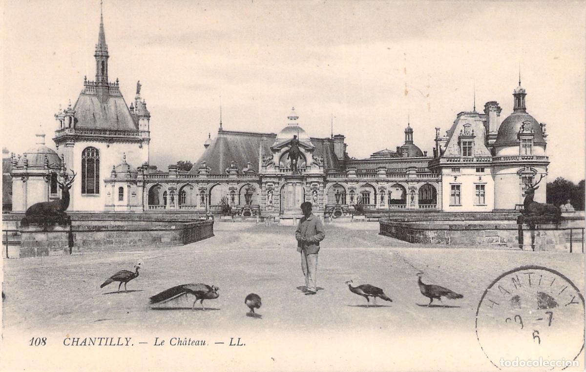 Postales: Postal Castillo de Chantilly con Pavos Reales Francia