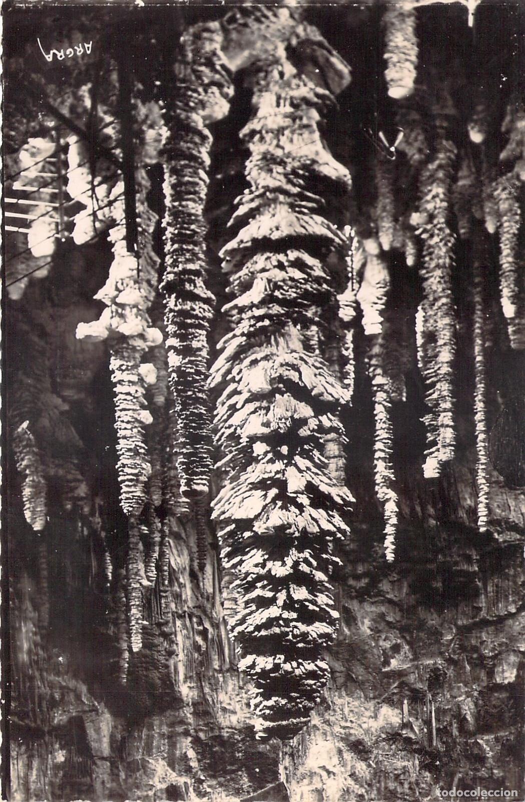 Postales: Postal Aven Armand - Estalagmita Le Palmier, Francia