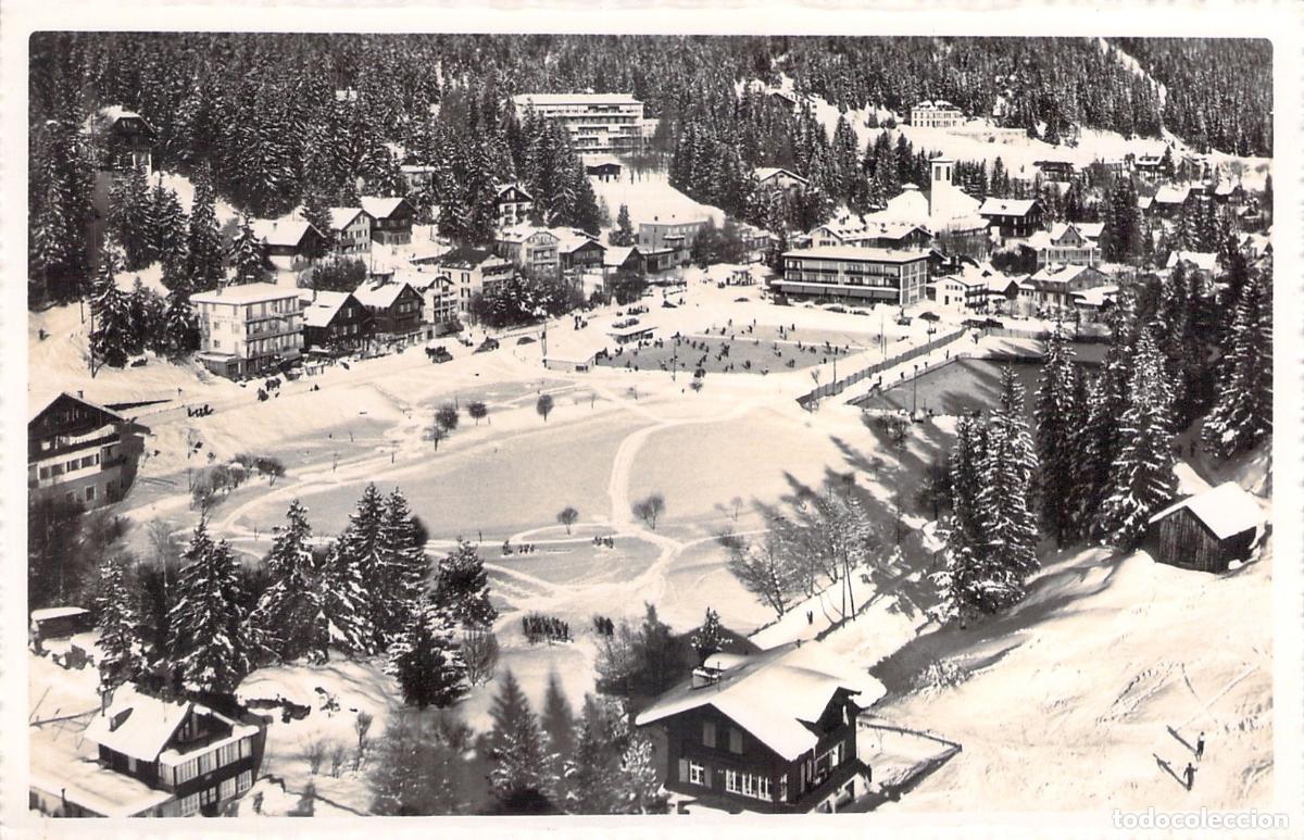 Postales: Postal de Montana Suiza Estadio de Invierno y Pista de Hielo