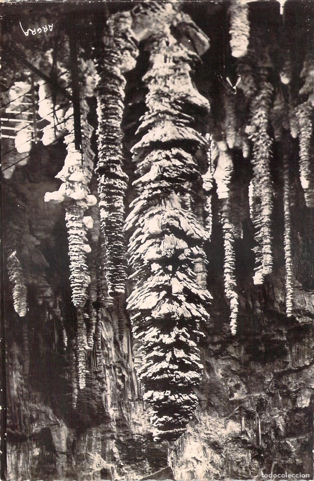 Postales: Postal Aven-Armand Le Palmier Cueva de Loz&egrave;re Francia