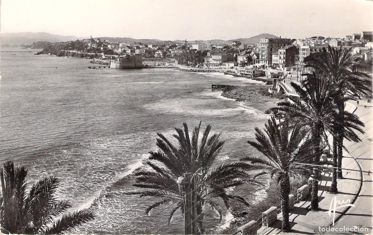 Postales: Postal de Toulon, Corniche du Mourillon y Palmeras, Francia