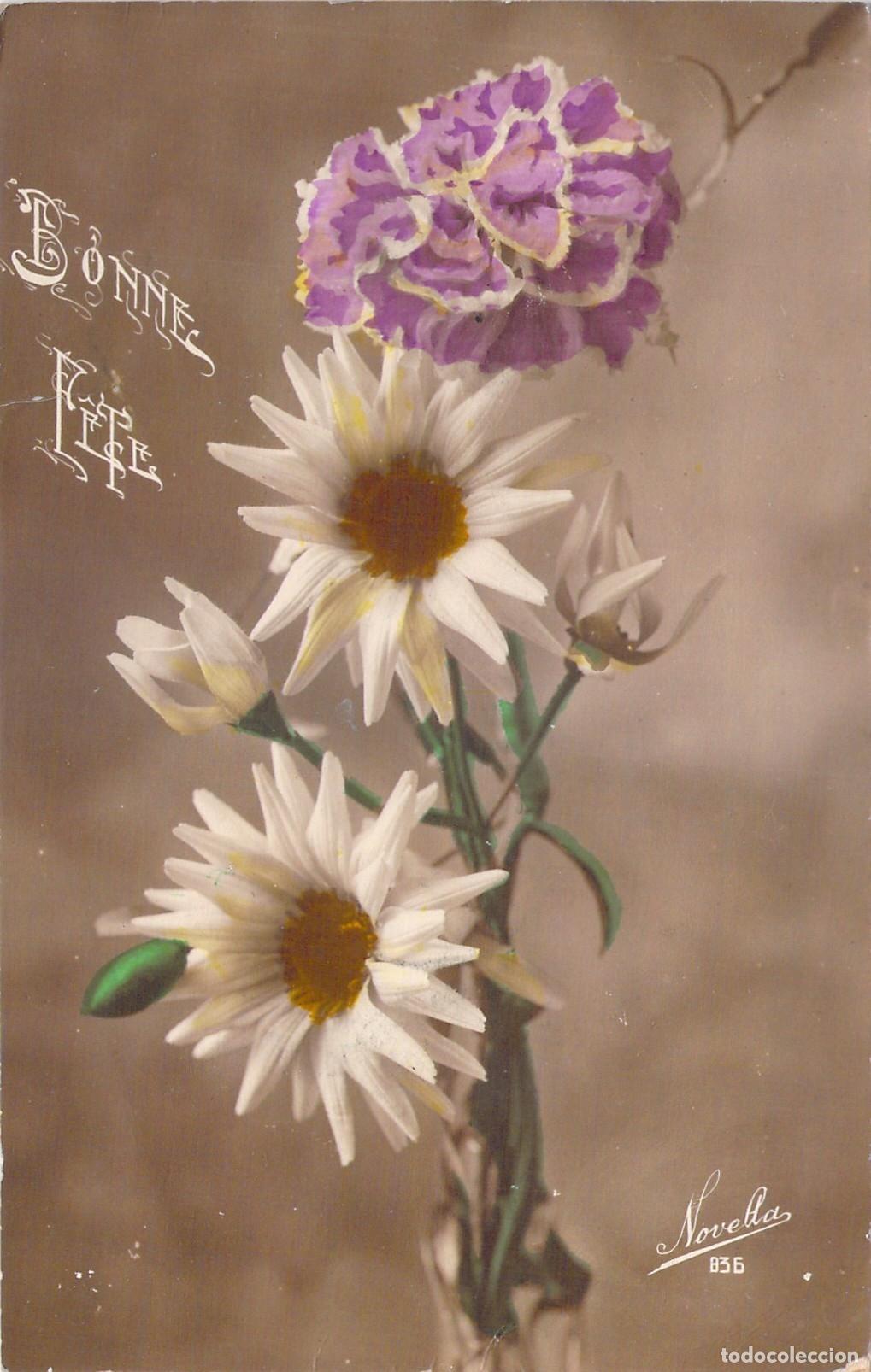 Postales: Postal Bonne F&ecirc;te de Felicitaci&oacute;n con Flores de Colores