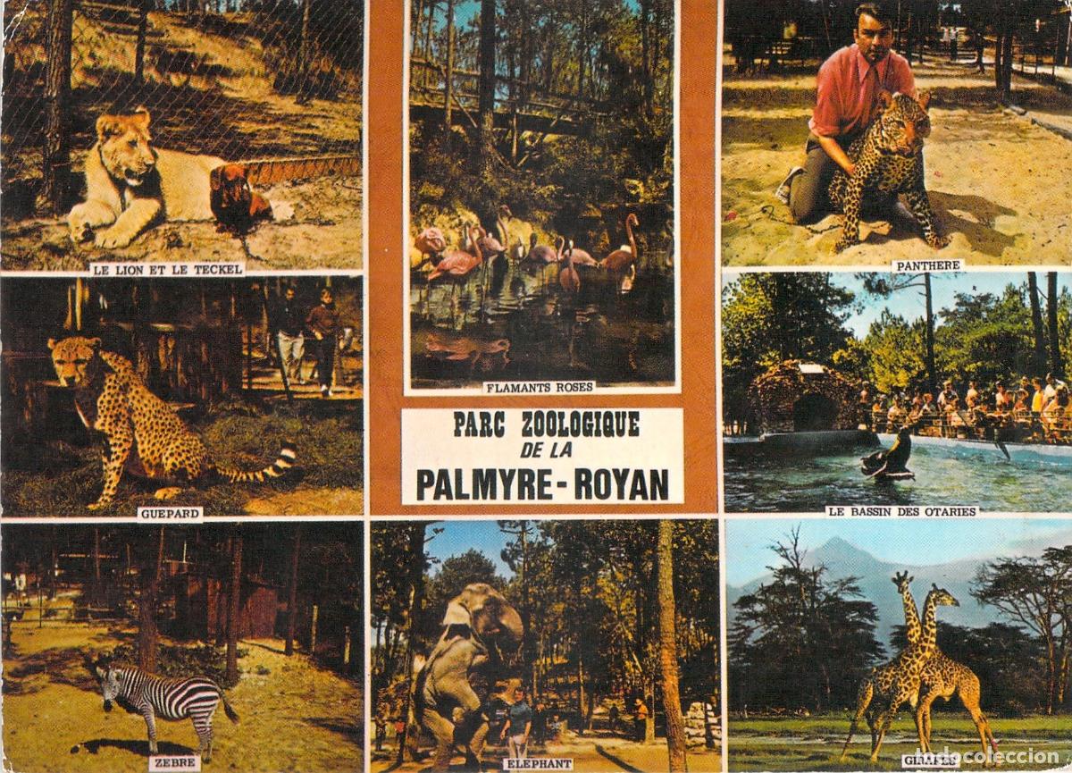 Postales: Postal Multivistas del Parque Zool&oacute;gico de La Palmyre en Royan
