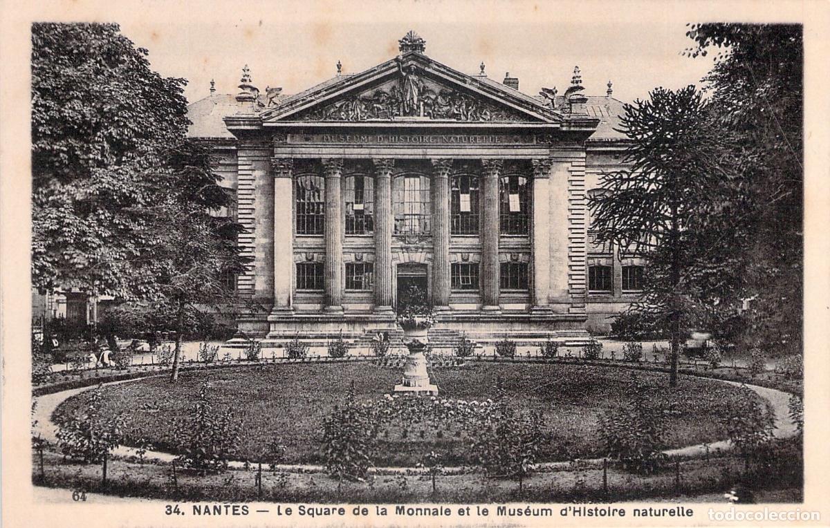 Postales: Postal de Nantes: Square de la Monnaie y Museo de Historia Natural
