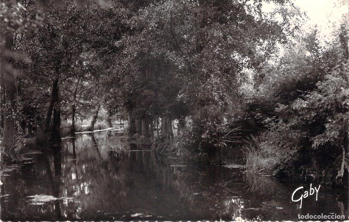 Postcards: Postal de La Garette - La Venise Verte, Francia