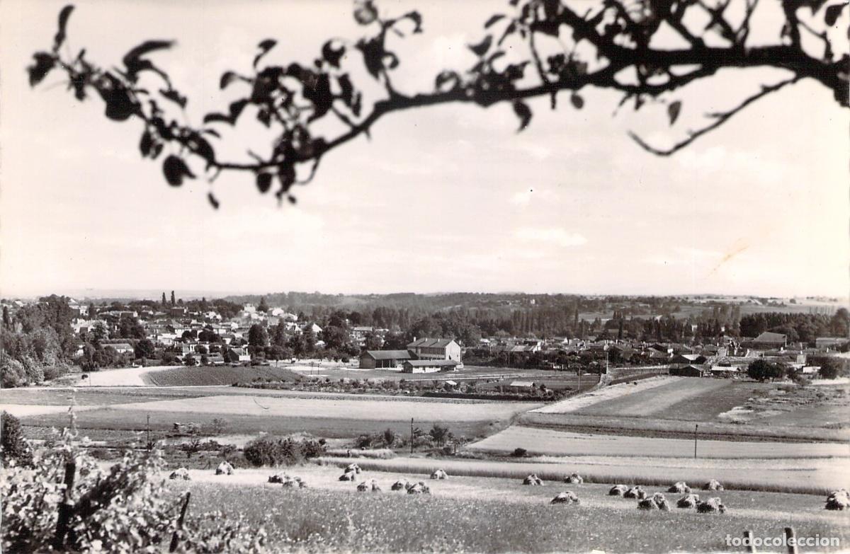 Postales: Postal de Vista General de Ch&acirc;teauneuf-sur-Charente, Francia