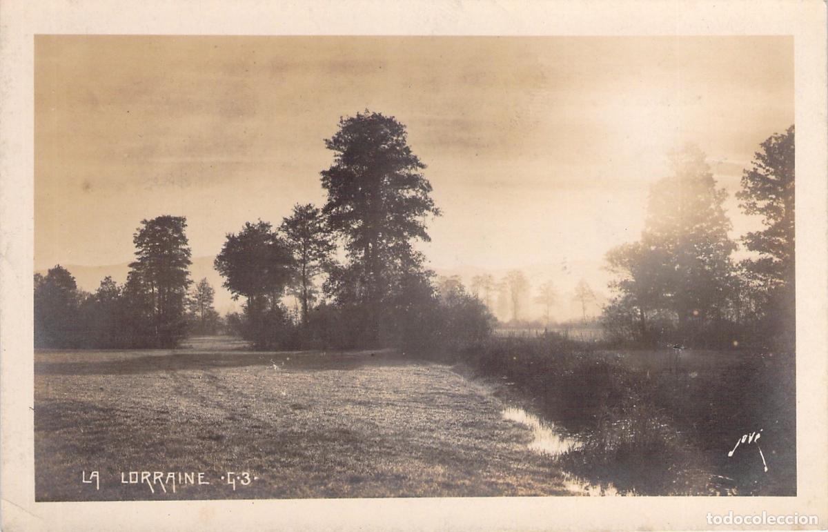 Postales: Postal de Paisaje de Lorena Francia Edici&oacute;n Jov&eacute; Campo y &Aacute;rboles
