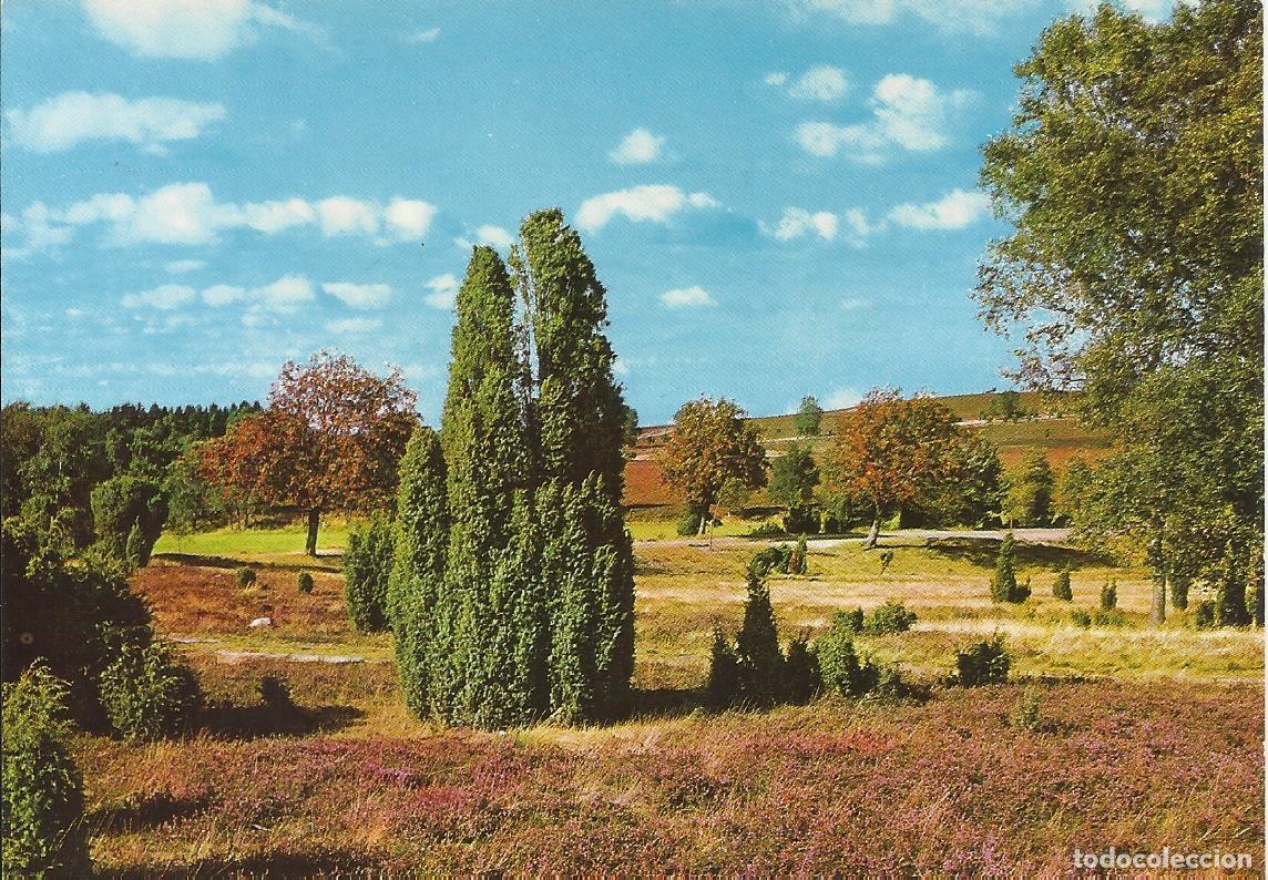 Postales: Zoecke Glanz. Paisaje alem&aacute;n. Alemania. Postal. 10x15 cm.