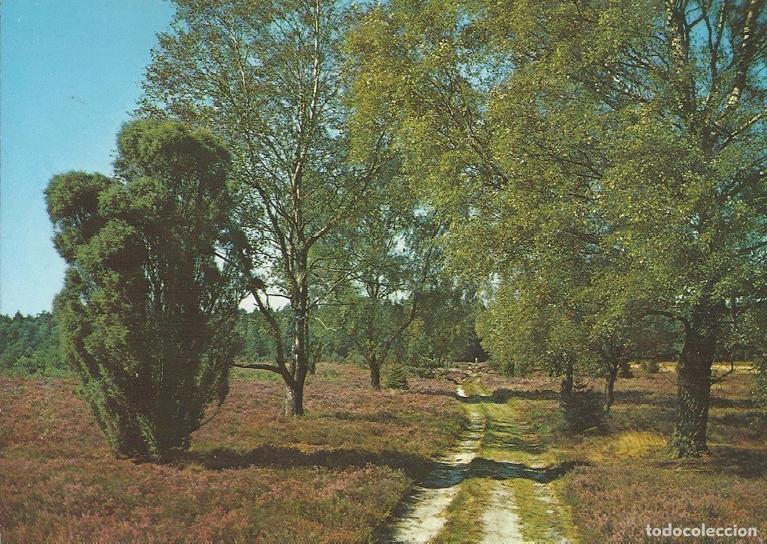 Postales: Zoecke Glanz. Paisaje alem&aacute;n. Alemania. Postal. 10x15 cm.