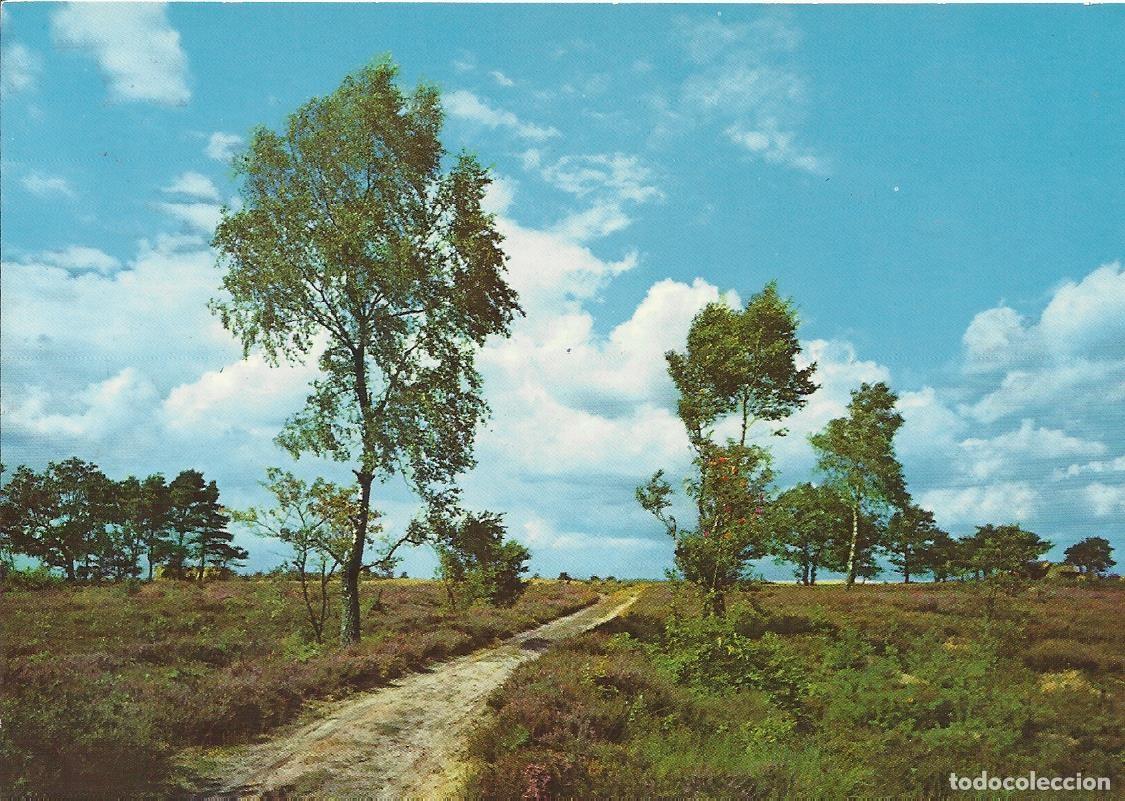 Postales: Zoecke Glanz. Paisaje alem&aacute;n. Alemania. Postal. 10x15 cm.