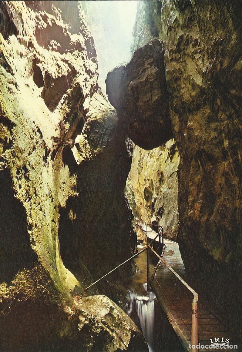 Postales: Arles-Sur-Tech. Les gorges de la Fou. Iris. Francia. Postal. 10x15 cm.