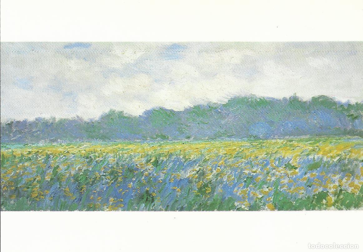Postales: Monet. Champ d'Iris jaunes a Giverny. Mus&eacute;e Marmottan. Paris. Francia. Postal. 10x15 cm.
