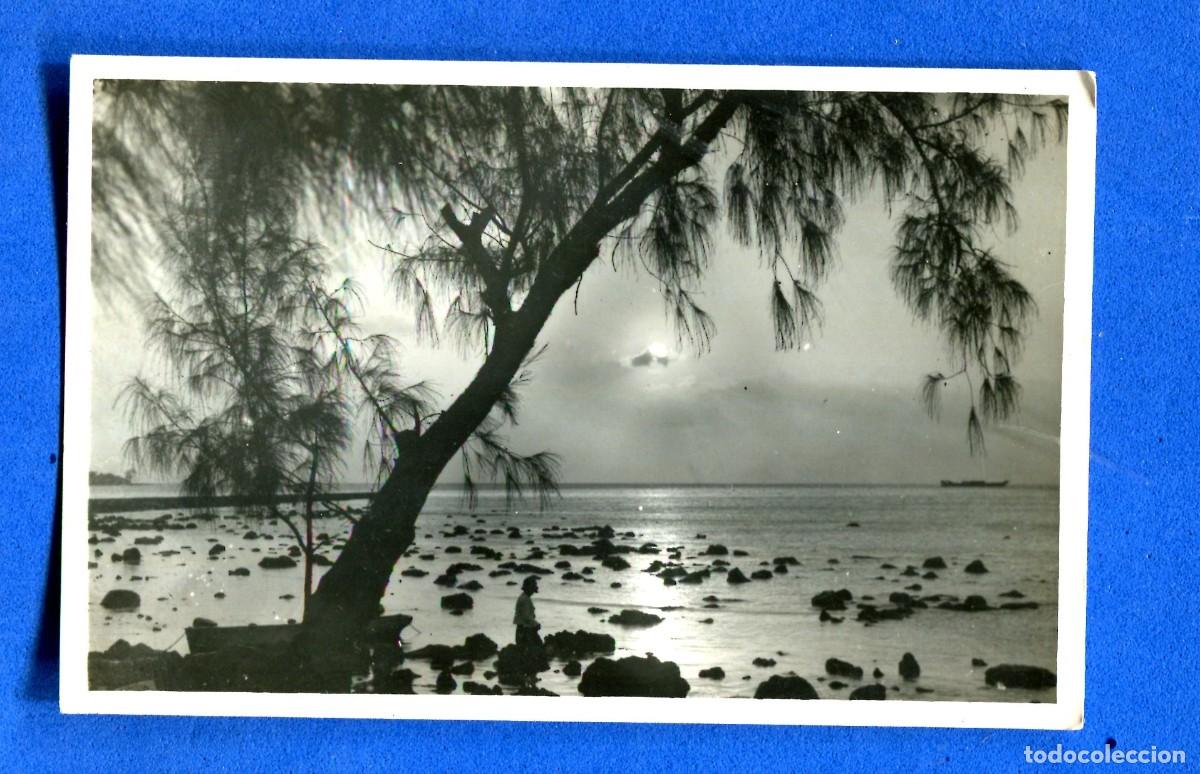 Postkarten: POSTAL ESCRITA PERO NO CIRCULADA MAURICE EDITA JEAN LOUIS