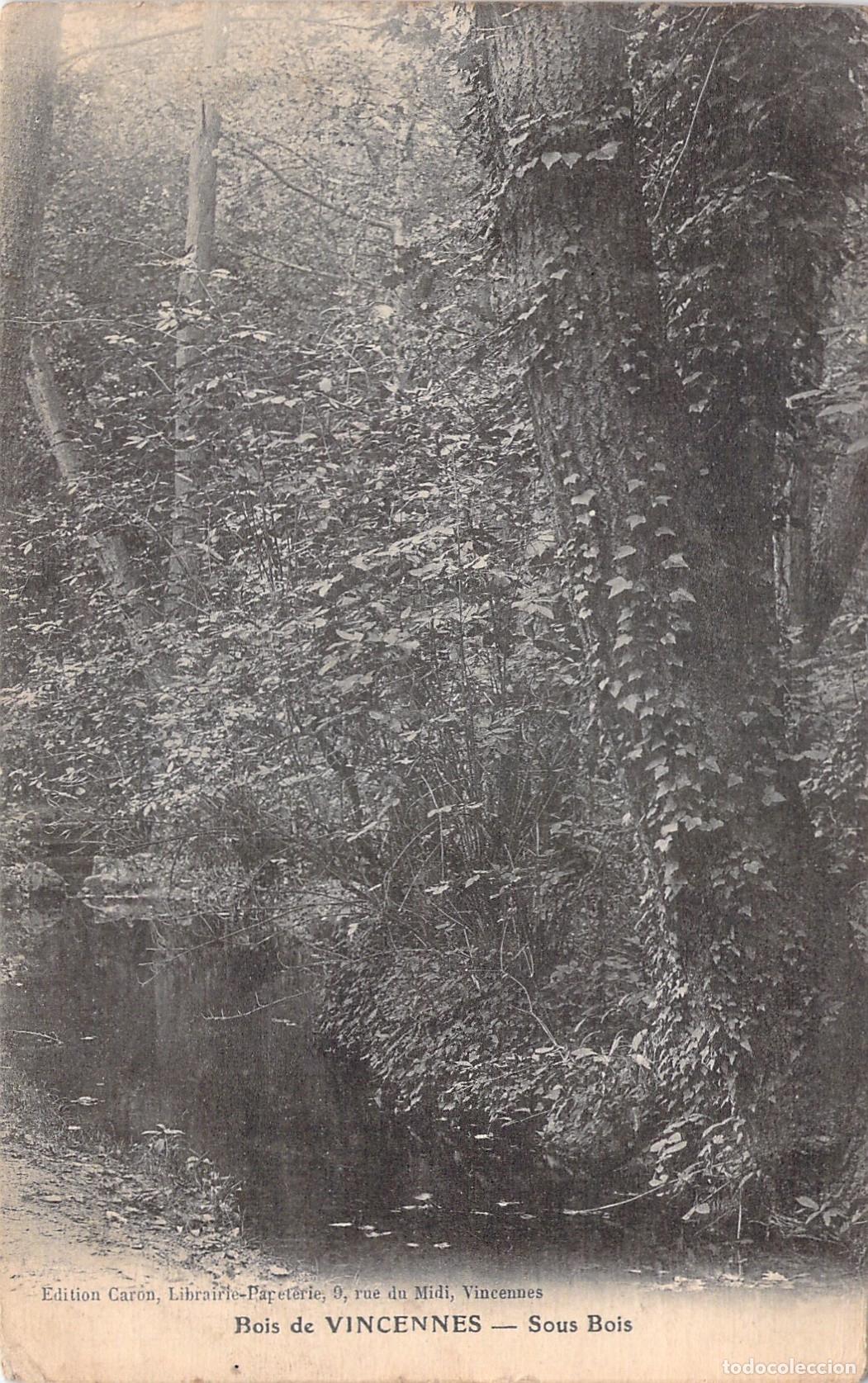 Postales: Tarjeta Postal de Bois de Vincennes, Paisaje de Bosque en Francia
