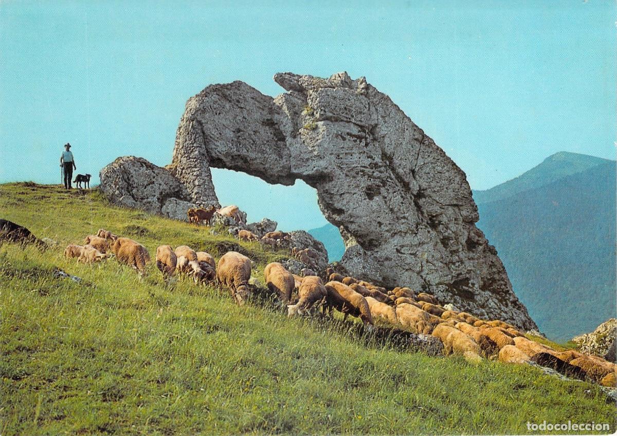 Postales: Postal de La Roche Perc&eacute;e Alpes del Dauphin&eacute; con Reba&ntilde;o de Ovejas