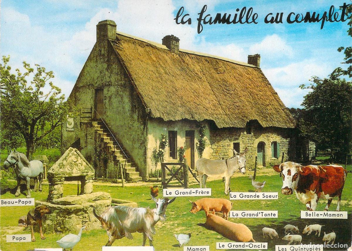 Postales: Postal Humor&iacute;stica Francesa La Familia Completa con Animales de Granja