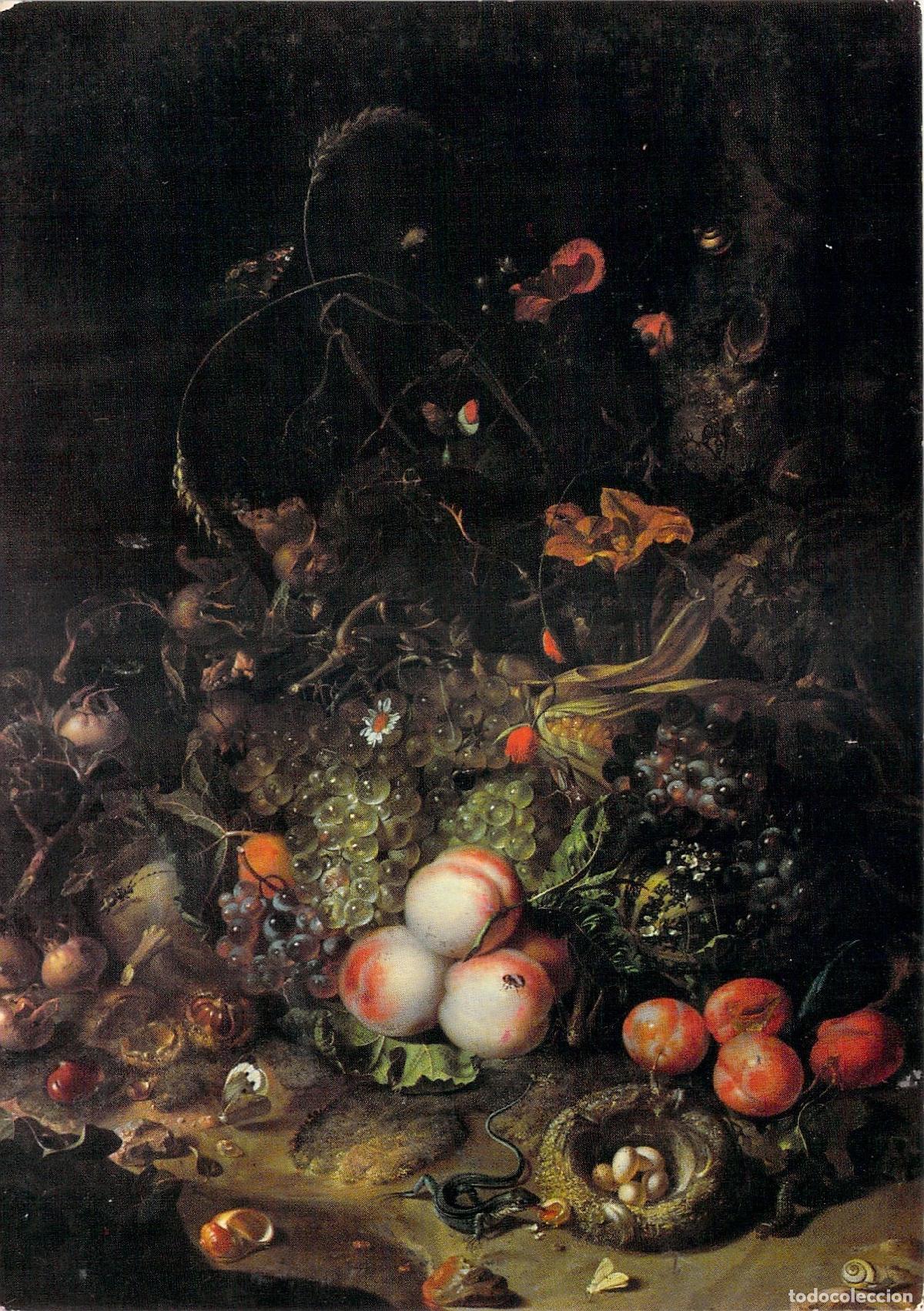 Postcards: Postal de Florencia Galer&iacute;a Pitti Rachele Ruysch Frutas Flores e Insectos