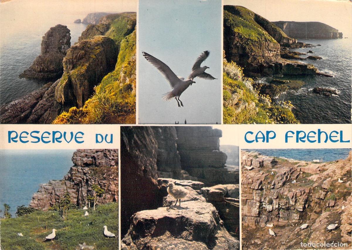 Postcards: Postal Multivista Reserva de Aves de Cap Fr&eacute;hel, Breta&ntilde;a