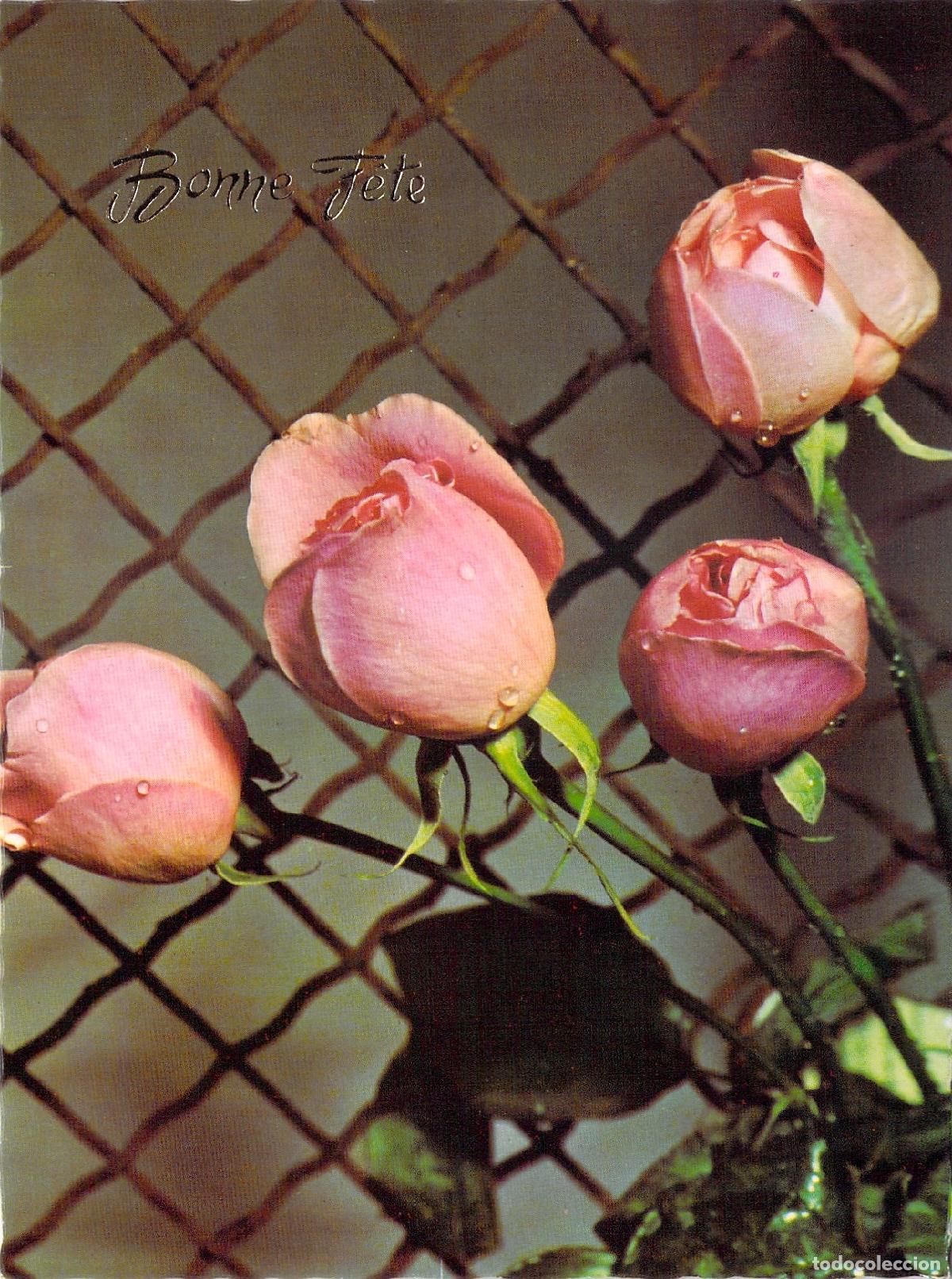 Postcards: Postal Francesa Bonne F&ecirc;te con Rosas Rosas y Roc&iacute;o