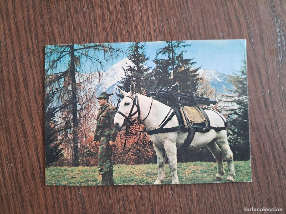 Postales: postal de Italia, Mortaio someggiato, stato maggior ej&eacute;rcito, Italia, a&ntilde;os 70.
