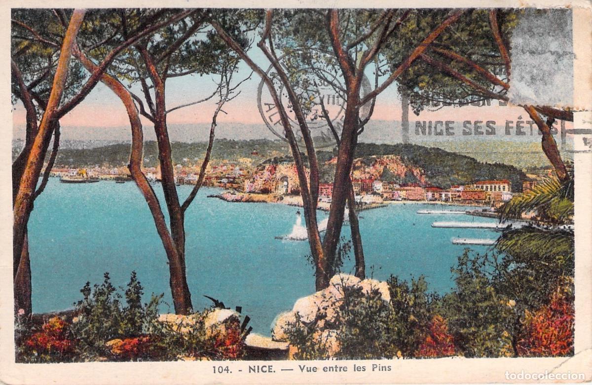 Postales: Postal de Niza, Vista entre los Pinos, Costa Azul, Francia