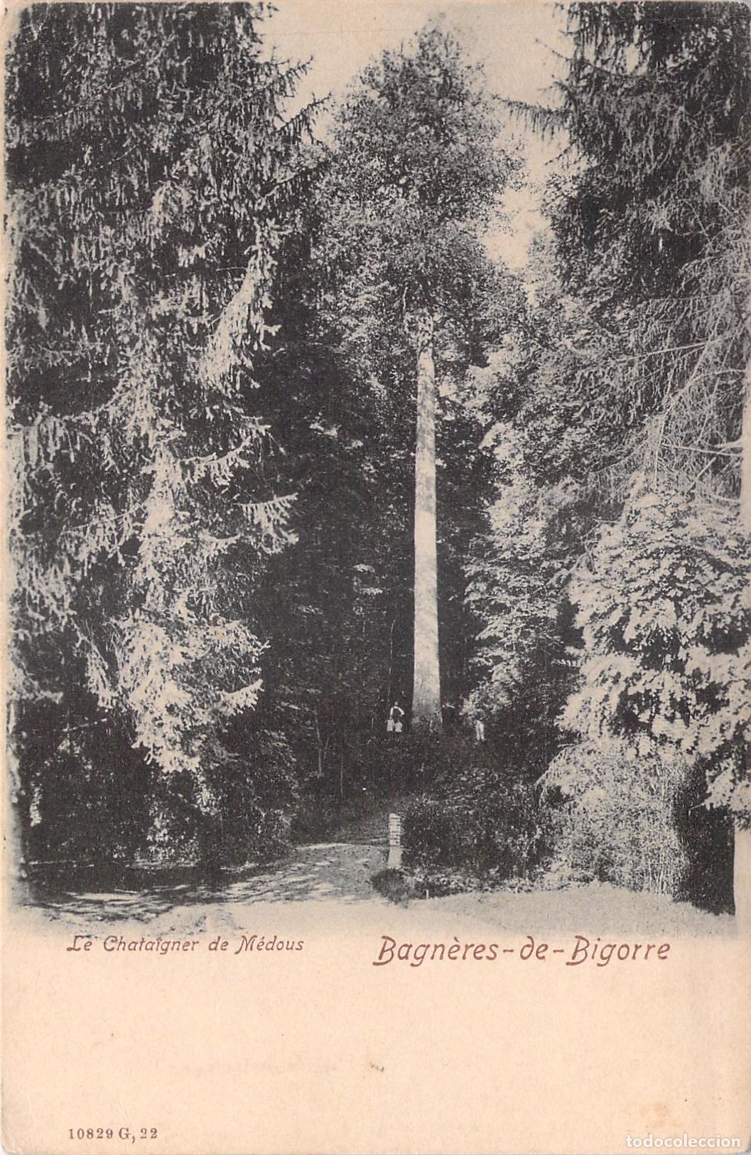 Postales: Postal de Bagn&egrave;res-de-Bigorre - Le Ch&acirc;taignier de M&eacute;dous, Francia