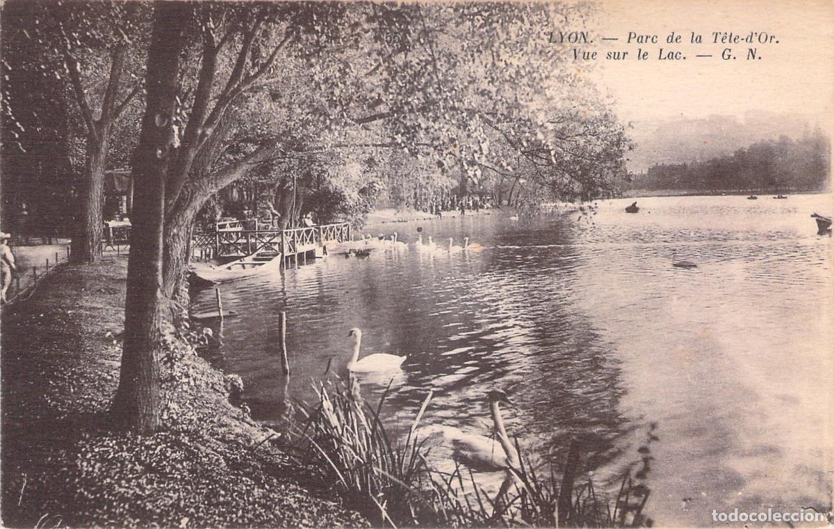 Cartes Postales: Postal de Lyon, Parc de la T&ecirc;te-d'Or y Vista del Lago con Cisnes