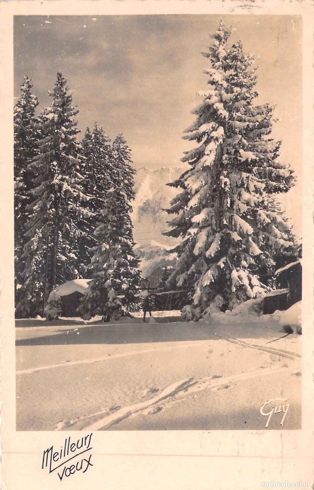 Postales: Postal Francesa de Paisaje Invernal Nevado Meilleurs Voeux