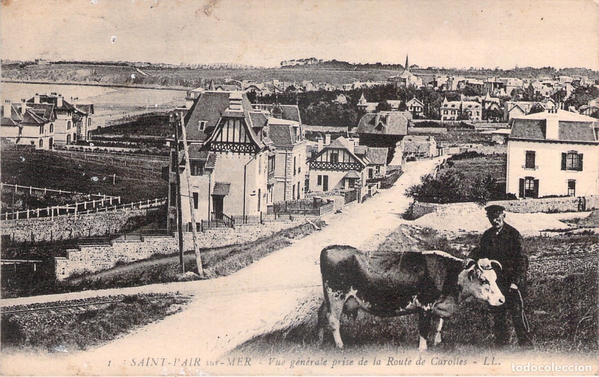 Postcards: Postal de Saint-Pair-sur-Mer con vista de la Route de Carolles y vaca
