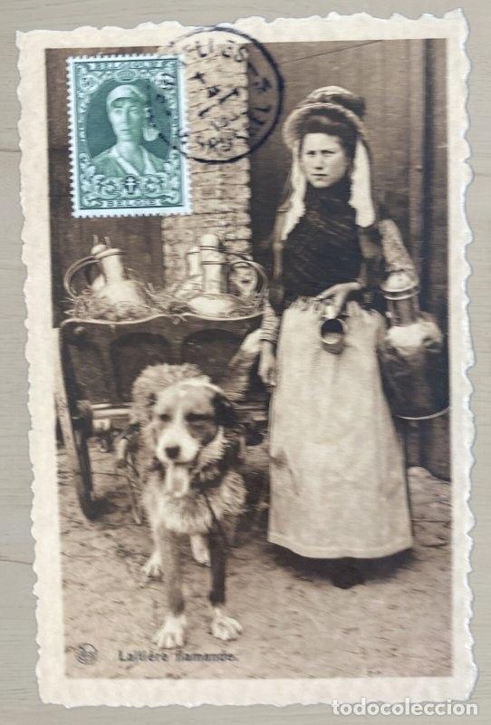 Postales: CPA Foto Laitiere Flamande Perro Perro De Carreta Tarjeta Maxima Nels