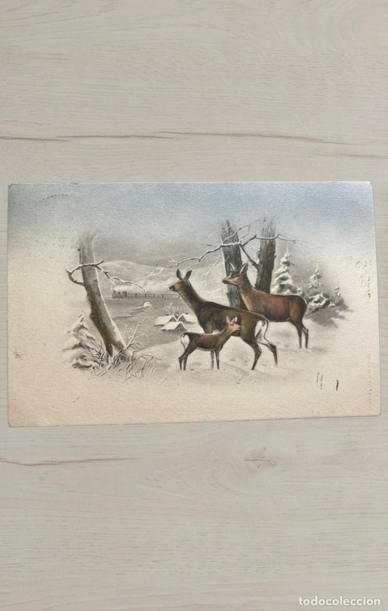 Postales: CPA Finlandia 1915 Nykarleby Sello 5k Matasellos Raro Censura Militar Nikolaistad Vaasa WW1