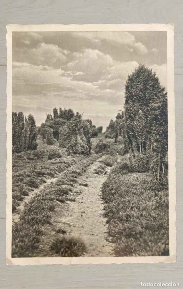 Postales: CPA Historia Postal II Guerra Mundial Feldpost Campo Concentracion Auschwitz Birkenau 1942 Rara