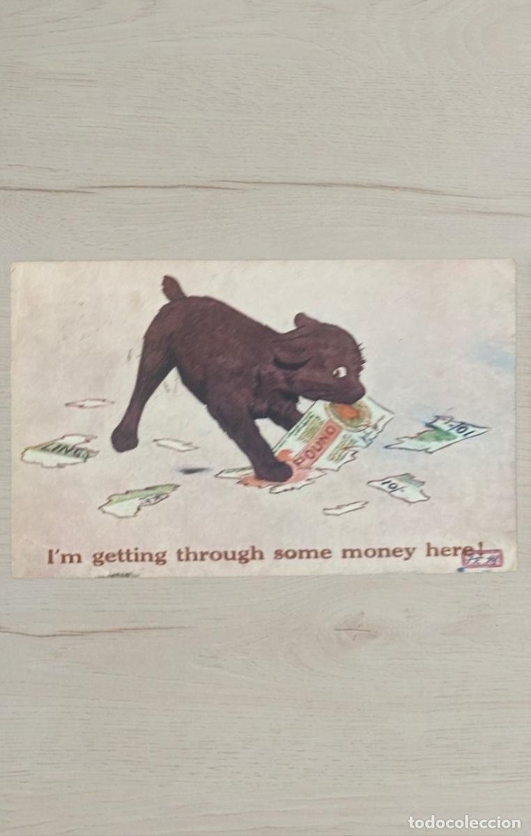 Postales: CPA Irlanda 1920s Envio a USA Sello Eire Matasellos Cork Franqueo Deficiente T 10 Due 2 Cents Rareza