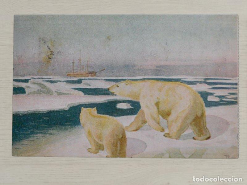 Postales: CPA Noruega 1924 Expedicion Polar Amundsen Polhavet Oso Dinamarca