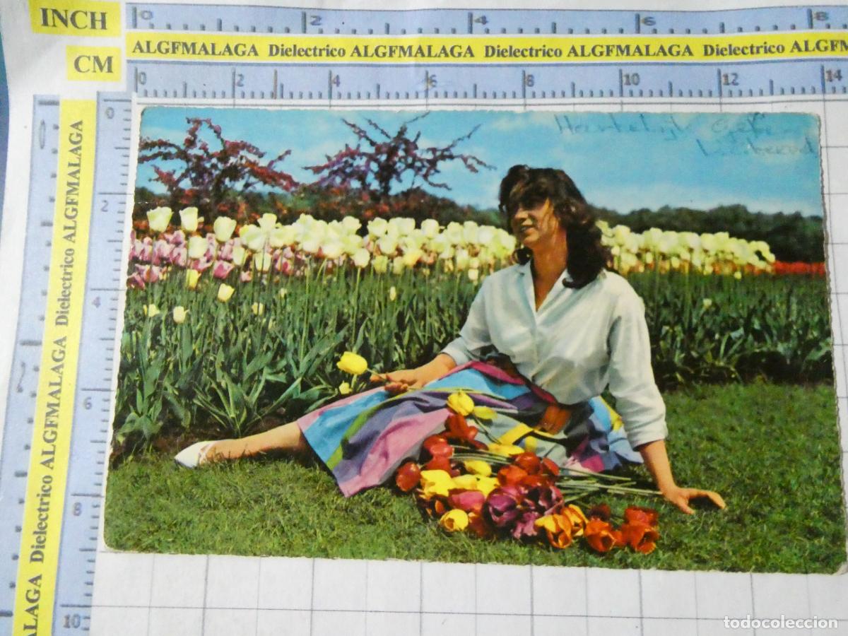 Postales: POSTAL DE PA&Iacute;SES BAJOS HOLANDA. TULIPANES MUJER HOLANDESA. 2755