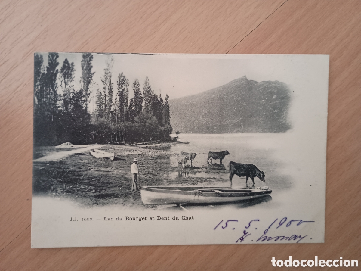 Postales: SUIZA - LAC DU BOURGET ET DENT DU CHAT - J.J.