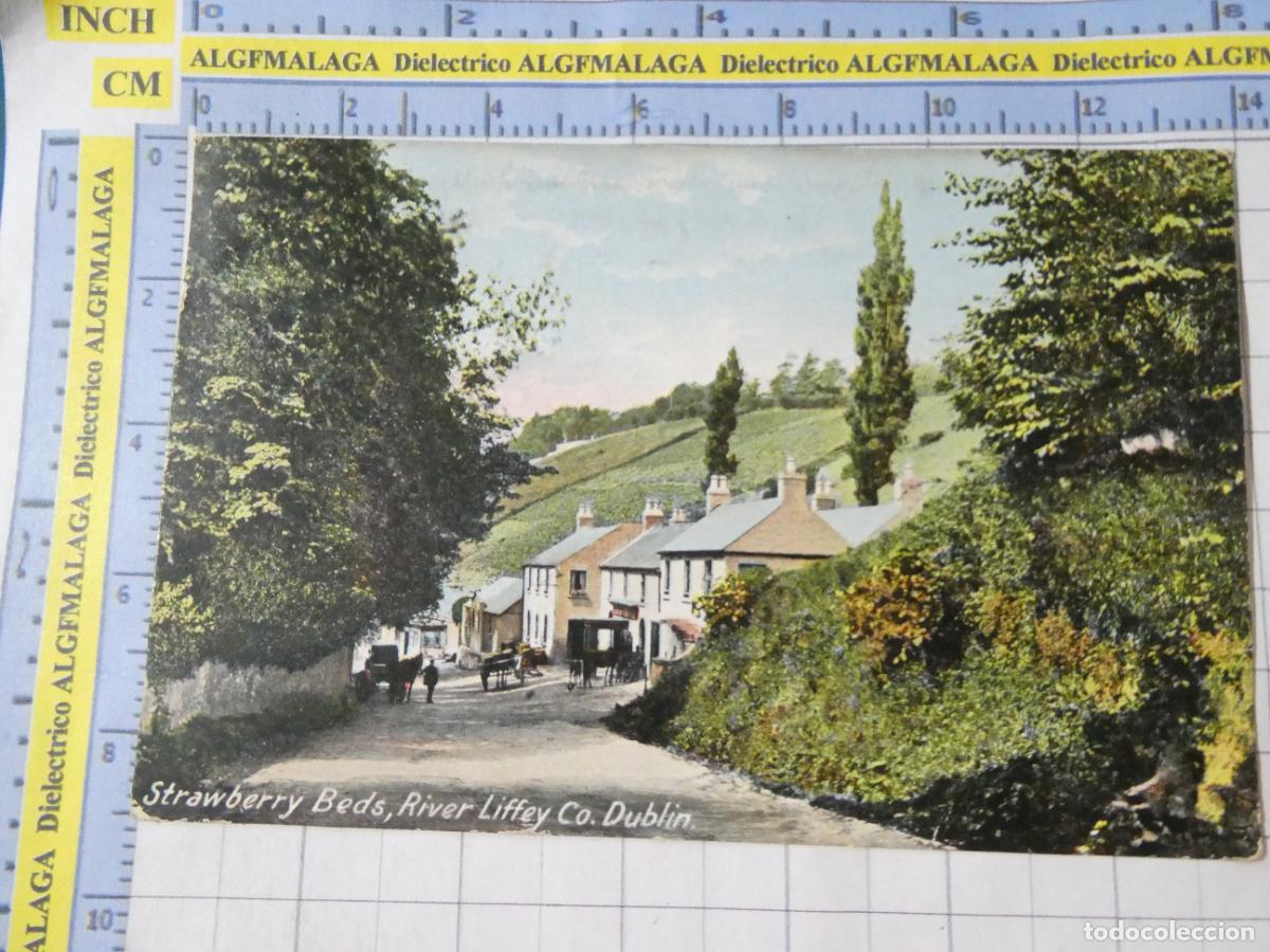Postales: ANTIGUA POSTAL DE IRLANDA. A&Ntilde;O 1907. STRAWBERRY BEDS RIVER LIFFEY CO. DUBLIN. 1681