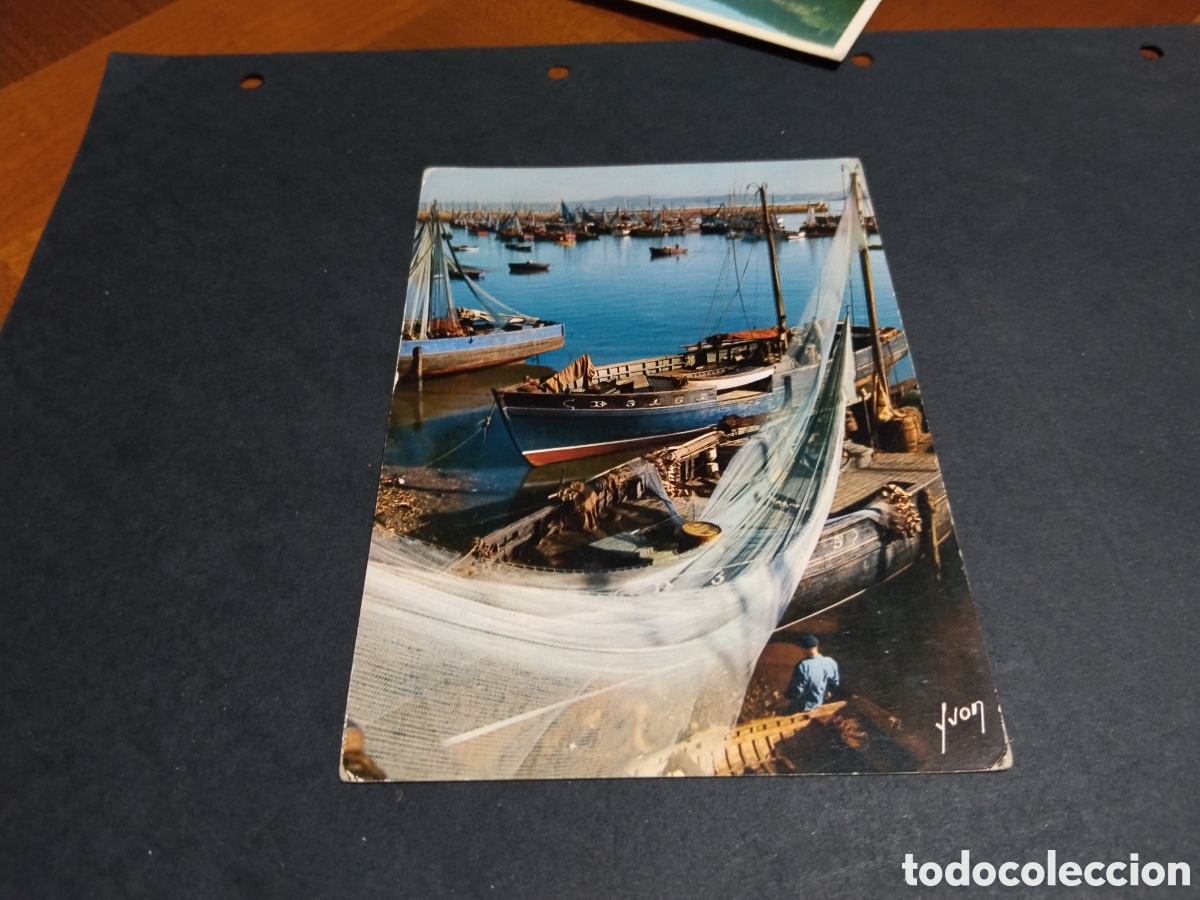 Postales: Postal douarnenez puerto pesquero