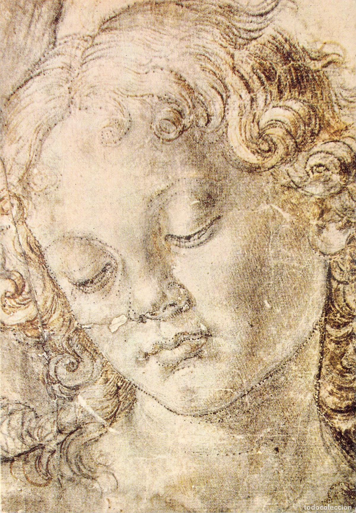 Postales: Postal de Arte: Testa Muliebre de Verrocchio en la Galer&iacute;a Uffizi