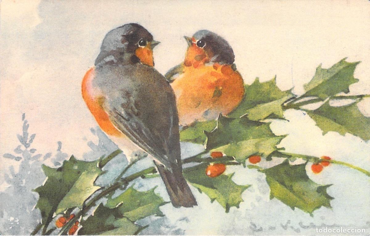 Postales: Postal con ilustraci&oacute;n de p&aacute;jaros y acebo