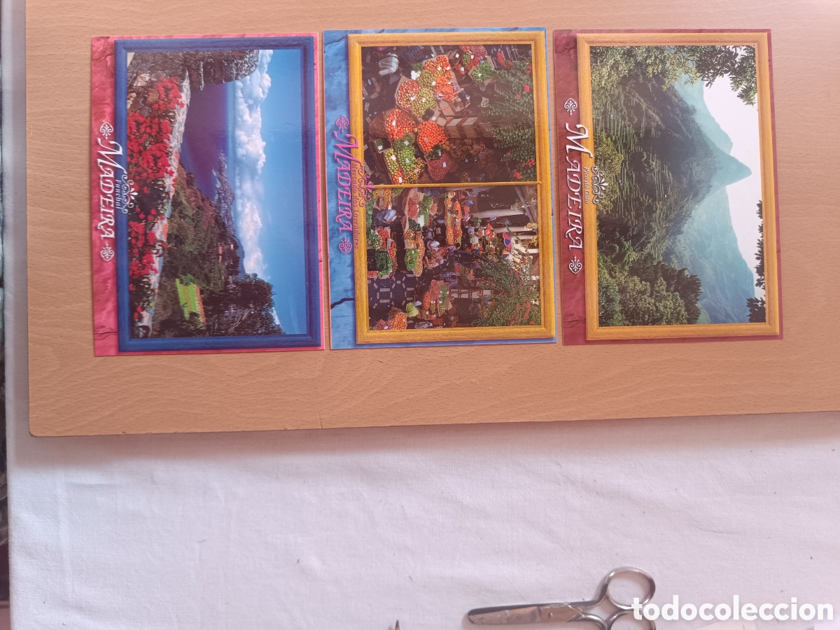 Postales: Postales NUEVAS de la isla de Madeira - Foto 3