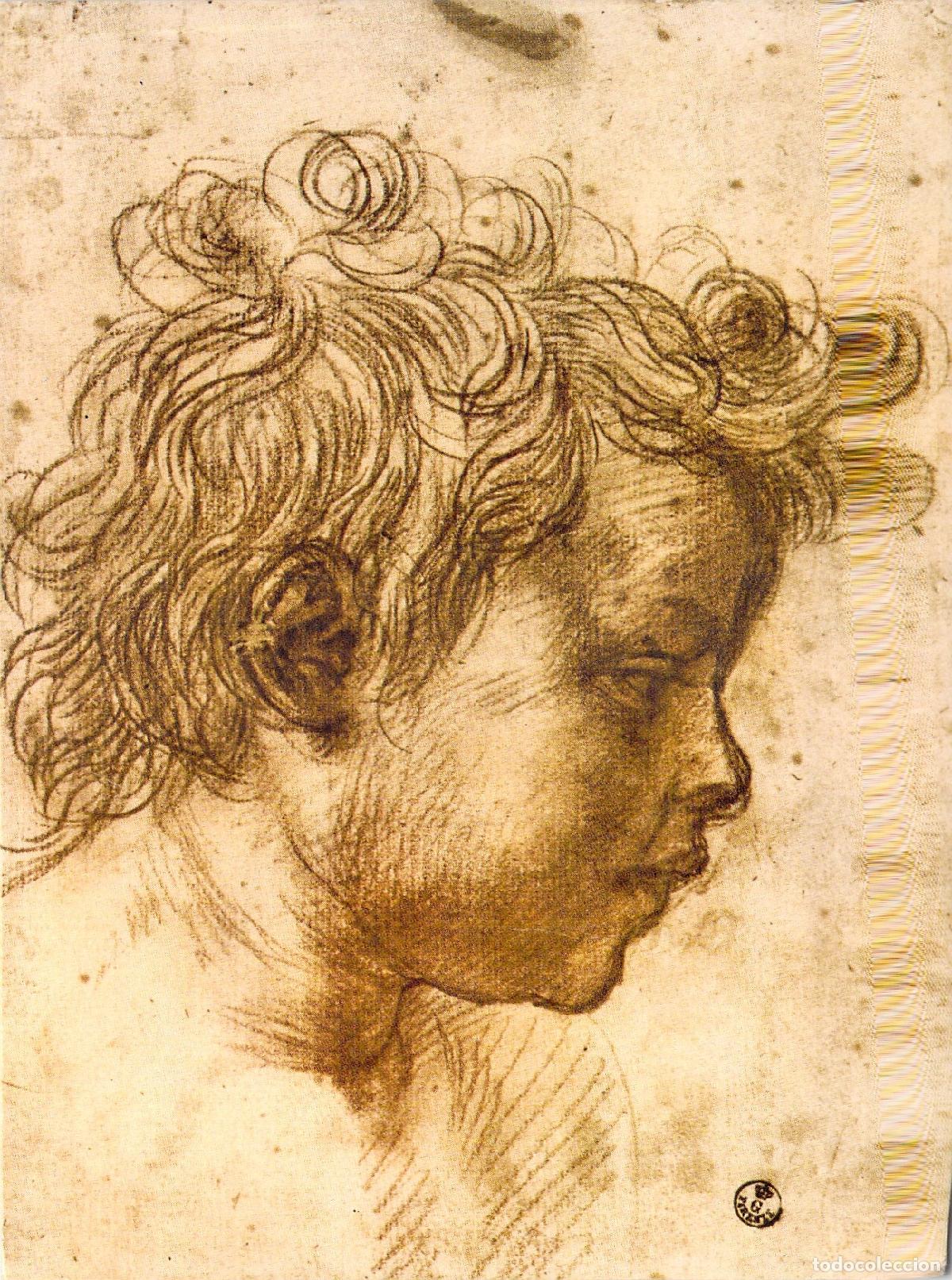 Postales: Postal de Andrea del Sarto San Giovannino