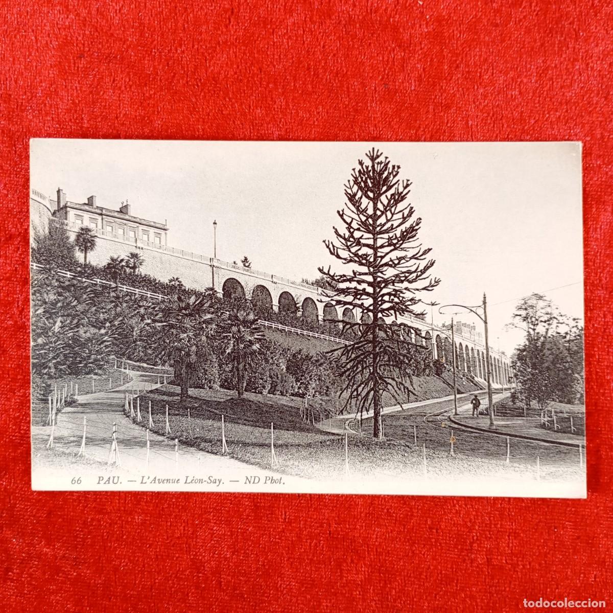 Postales: POSTAL - PAU - L'AVENUE L&Eacute;ON-SAY - 66 - ND PHOT - RAR&Iacute;SIMA / 1313