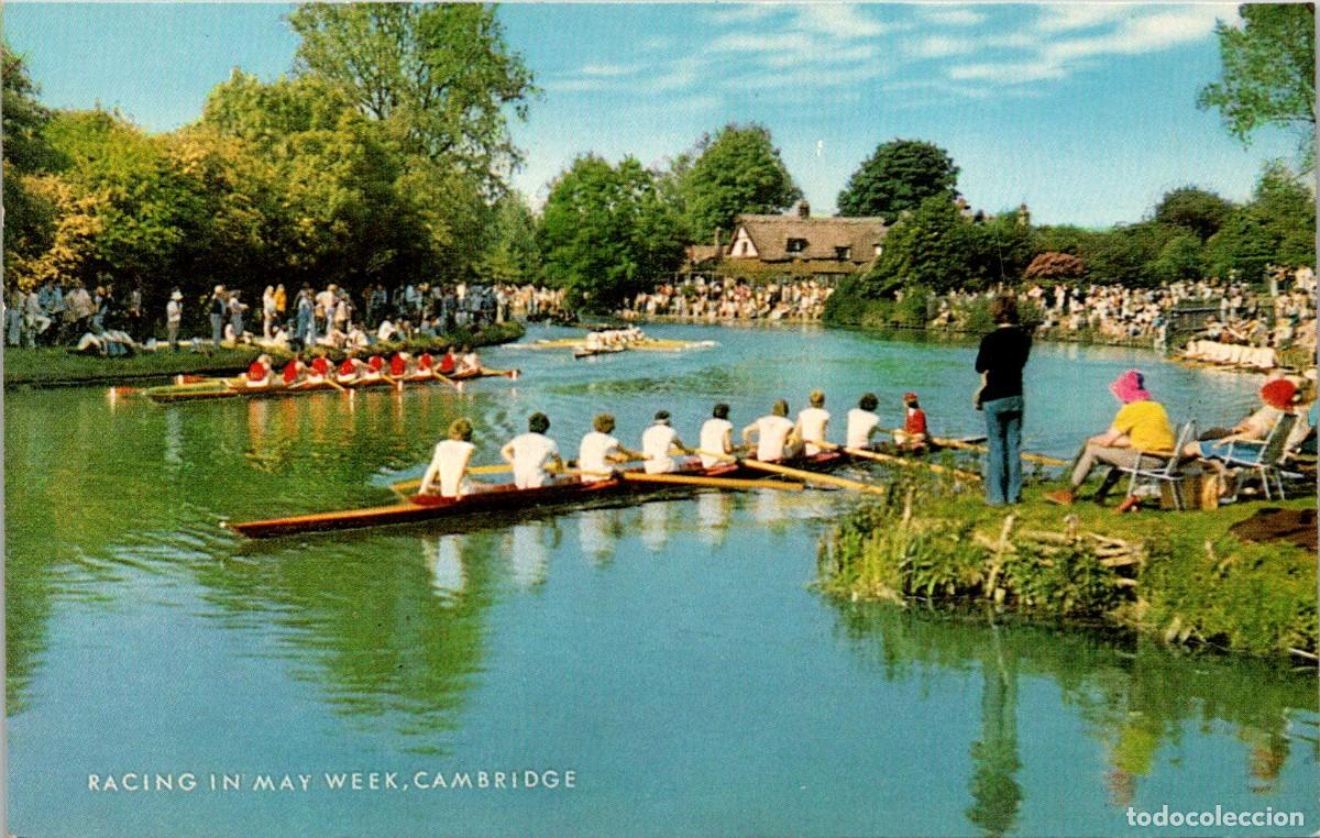 Postales: Inglaterra - Cambridge - Racing in May Week - Postal - 140x89mm -Remo- Carreras en la Semana de Mayo