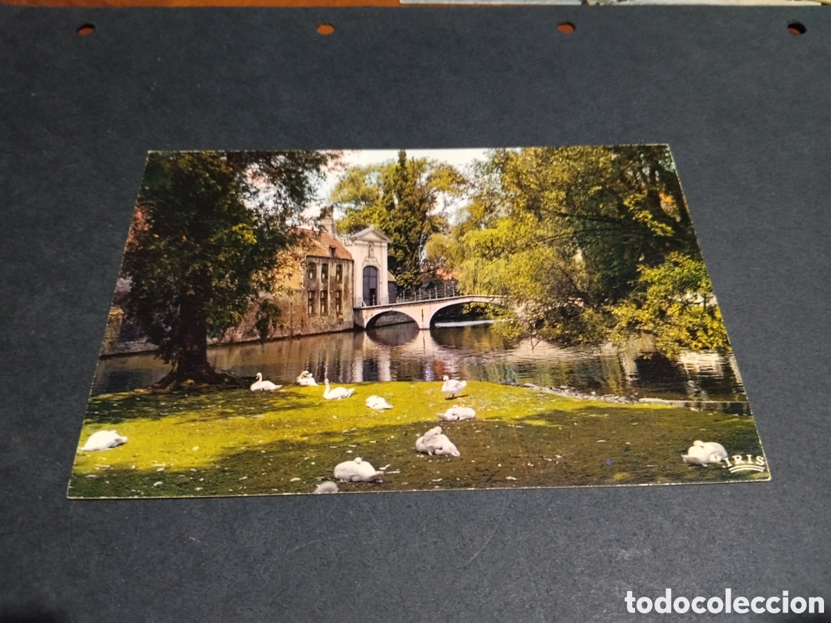 Postales: Postal brujas estanque