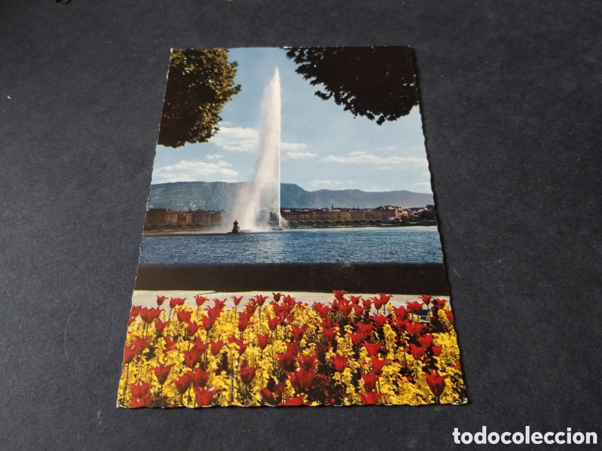 Postales: Postal Gen&egrave;ve flores chorro de agua