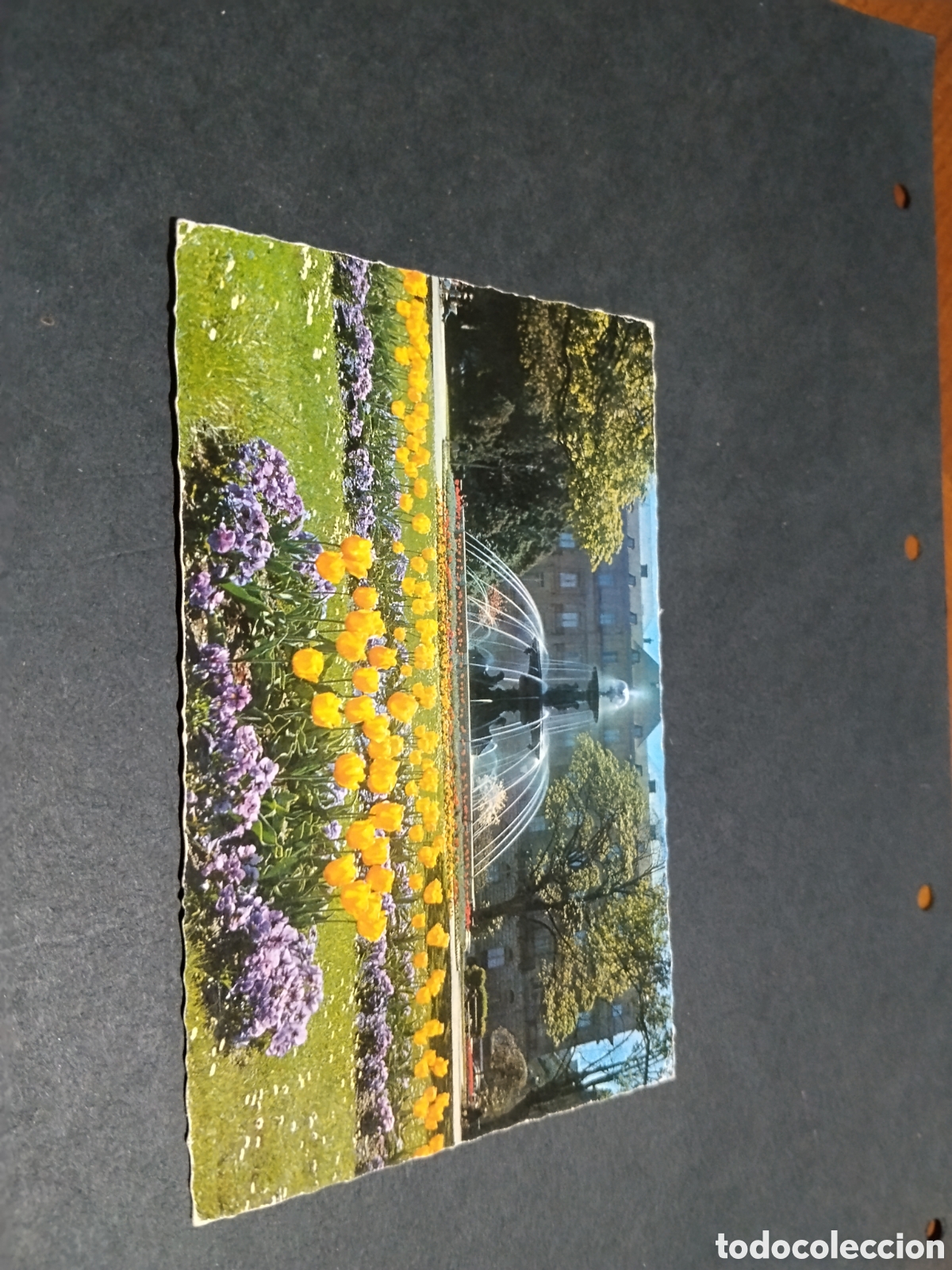 Postales: Postal Ginebra fuente jard&iacute;n anglais