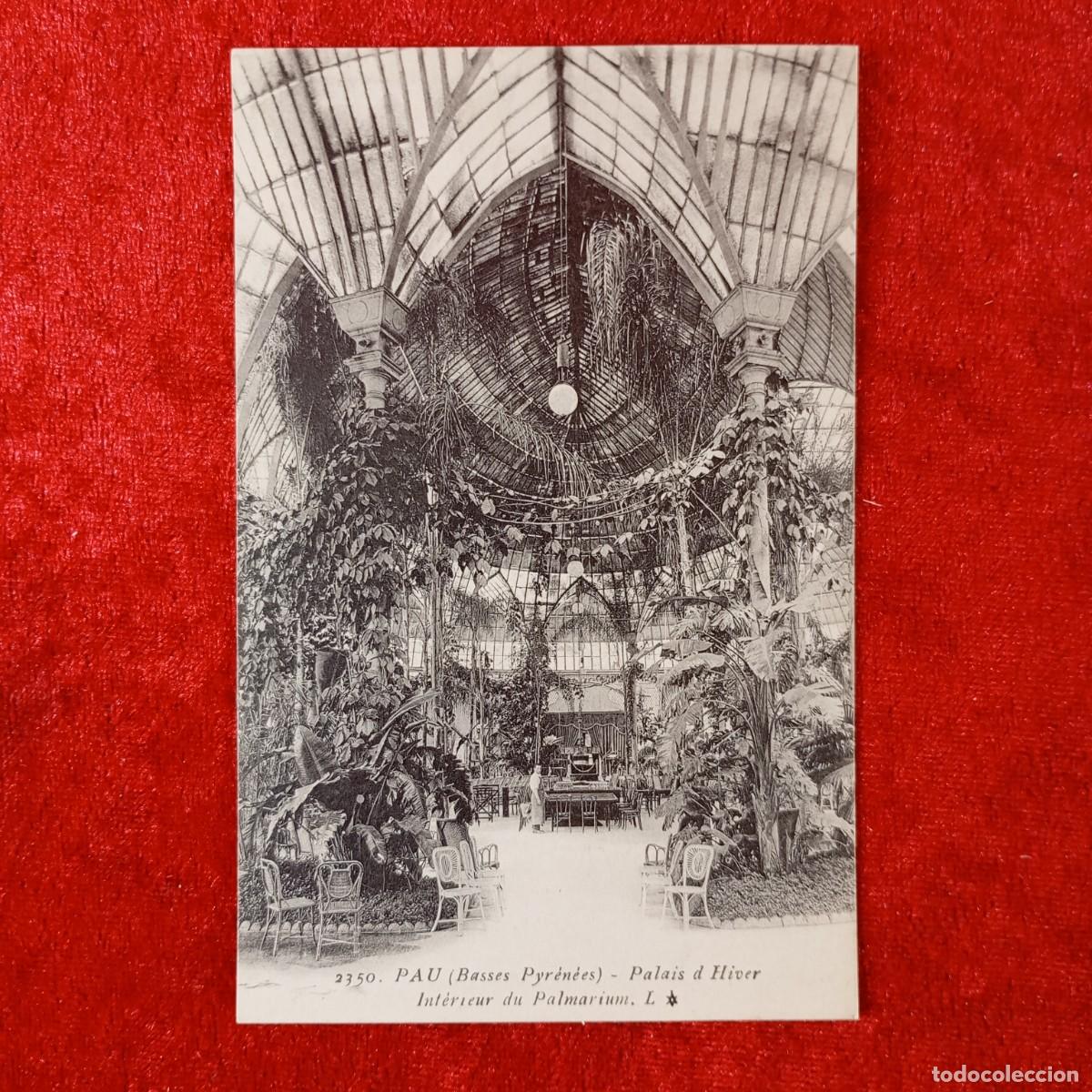 Postales: POSTAL - PAU (BASSES PYR&Eacute;N&Eacute;ES) - PALAIS D'HIVER - INT&Eacute;RIEUR DU PALMARIUM - 2350 - RAR&Iacute;SIMA / 1628