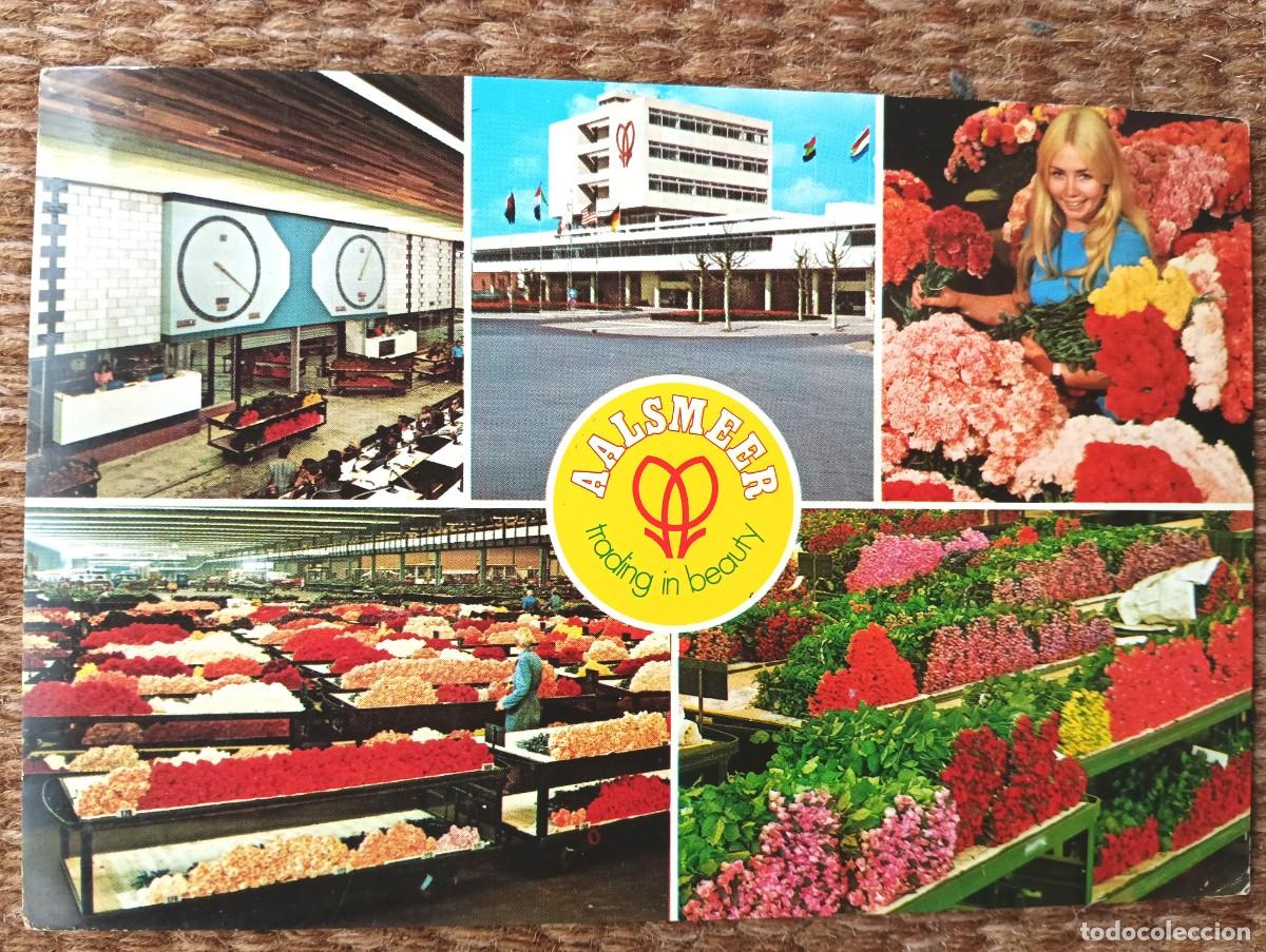 Postales: PAISES BAJOS - AALSMEER - MERCADO DE FLORES - CIRCULADA A SAN MATEO, CASTELLON