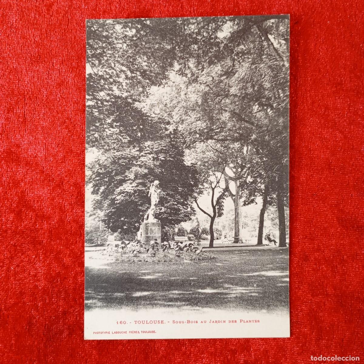 Postales: POSTAL - TOULOUSE - SOUS-BOIS AU JARDIN DES PLANTES - 160 - LABOUCHE FR&Egrave;RES - RAR&Iacute;SIMA / 1723